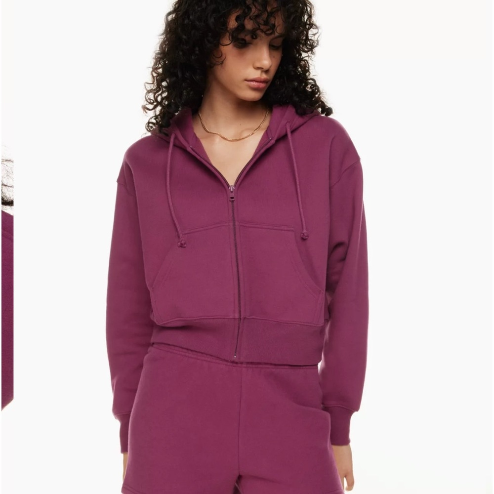 TNA Aritzia Boyfriend Cropped Hoodie